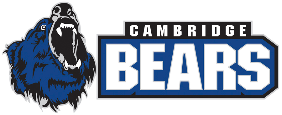 Cambridge Bears 2014-Pres Primary Logo iron on transfers for T-shirts
